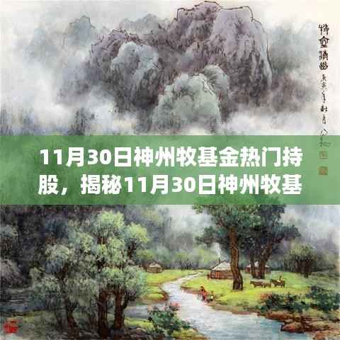 揭秘神州牧基金热门持股策略,焦点与趋势洞察(11月30日)