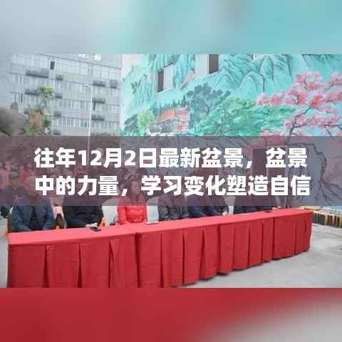 盆景的力量,塑造自信与成就,追寻梦想的脚步不停歇