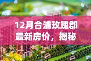 揭秘，合浦玫瑰郡最新房价走势，购房者的福音还是市场信号？