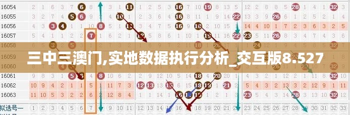 三中三澳门,实地数据执行分析_交互版8.527