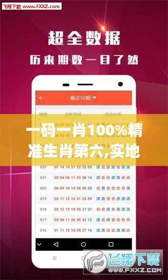 一码一肖100%精准生肖第六,实地说明解析_L版1.247