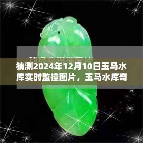 未来奇遇记,玉马水库的温馨猜想与监控图片展望(猜测至2024年)