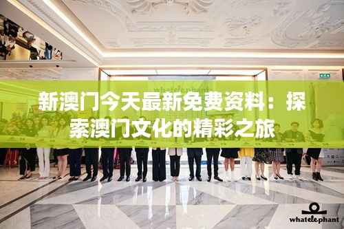 新澳门今天最新免费资料:探索澳门文化的精彩之旅