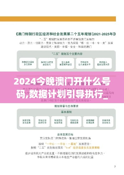 2024今晚澳门开什么号码,数据计划引导执行_Linux6.207