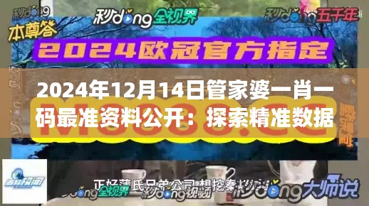 2024年12月14日管家婆一肖一码最准资料公开:探索精准数据的力量