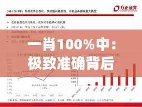 一肖100%中:极致准确背后的策略思考