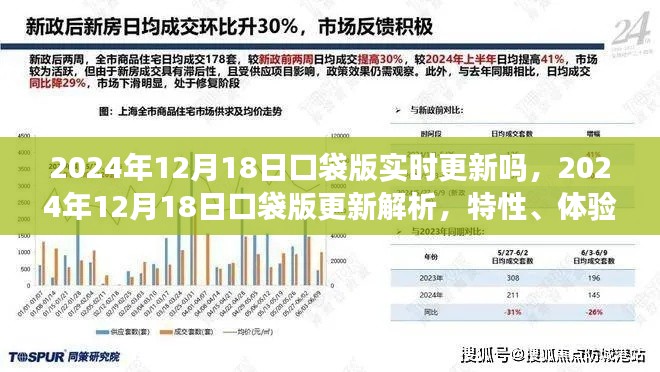 2024年口袋版更新解析,特性、体验、竞争与用户需求洞察
