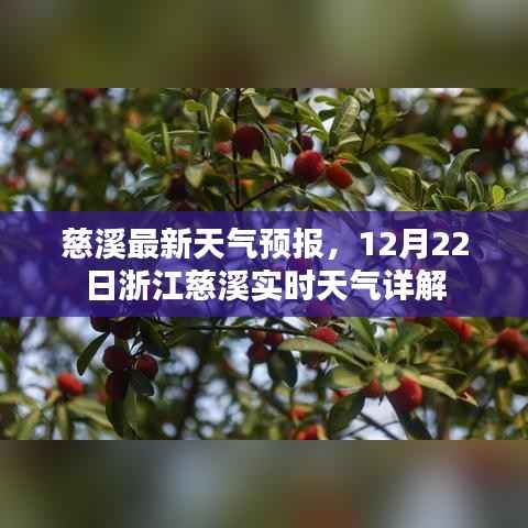 删繁就简 第3页