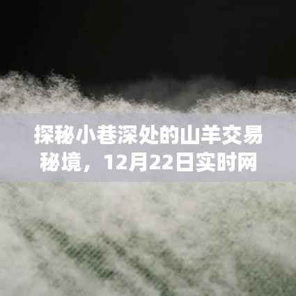 探秘小巷深处的山羊交易秘境,一场独特的实时网购奇妙之旅(12月22日)
