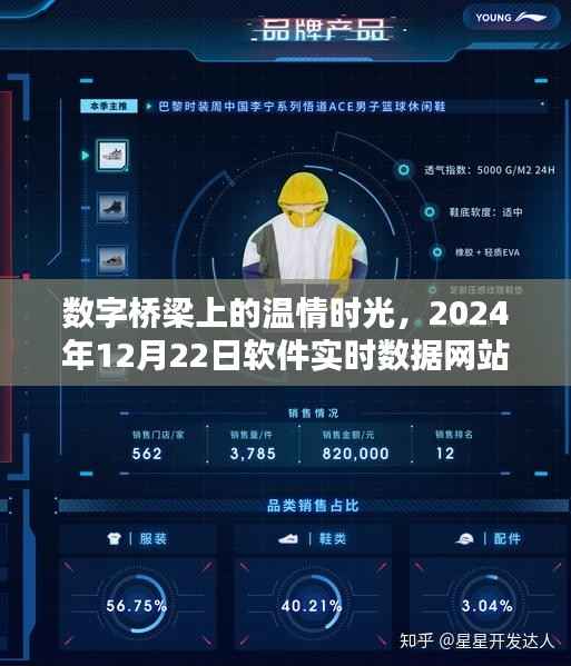 数字桥梁上的温情时光,实时数据网站的奇妙日常与软件新纪元探索(2024年12月22日)