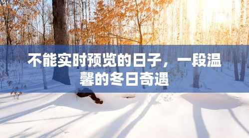 不能实时预览的日子,冬日温馨奇遇