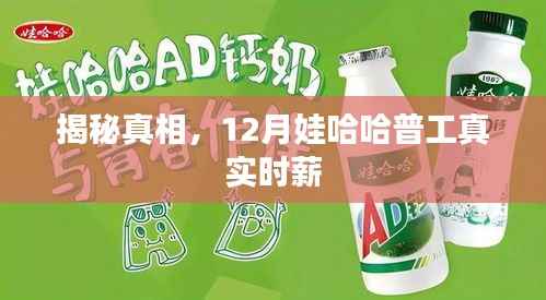 揭秘真相,娃哈哈普工时薪揭秘