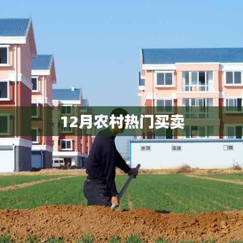 农村12月热门买卖选择