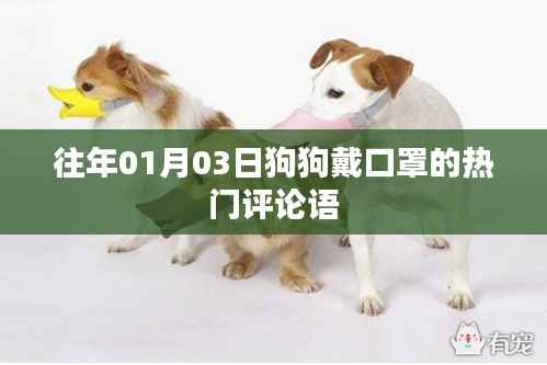 虫蚀鸟步 第3页