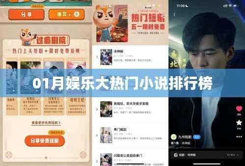 热门娱乐小说排行榜揭晓,一月份必读佳作