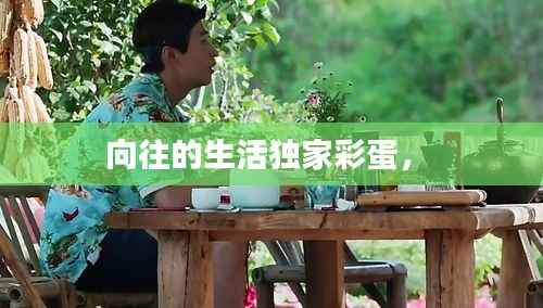 向往的生活独家彩蛋,