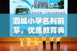 泗城小学名列前茅,优质教育典范闪耀光芒!