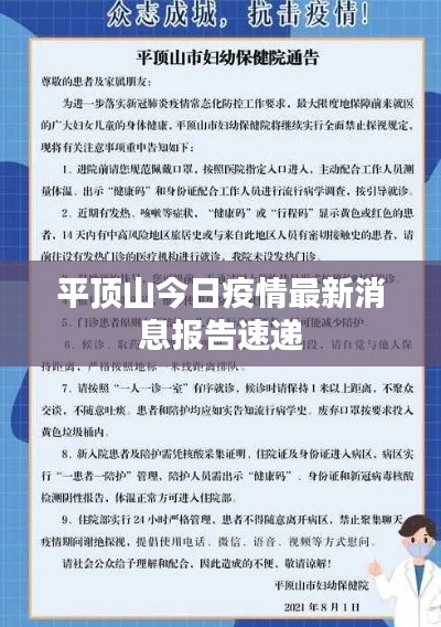 平顶山今日疫情最新消息报告速递