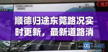 顺德归途东莞路况实时更新,最新道路消息与塞车深度解析