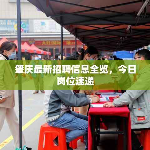 肇庆最新招聘信息全览,今日岗位速递