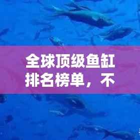 全球顶级鱼缸排名榜单，不容错过的收藏与投资之选