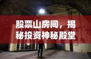 股票山房间,揭秘投资神秘殿堂之门