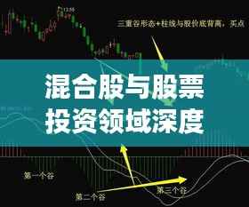 混合股与股票投资领域深度解析,揭秘投资策略与趋势