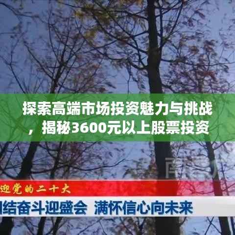 探索高端市场投资魅力与挑战，揭秘3600元以上股票投资之道