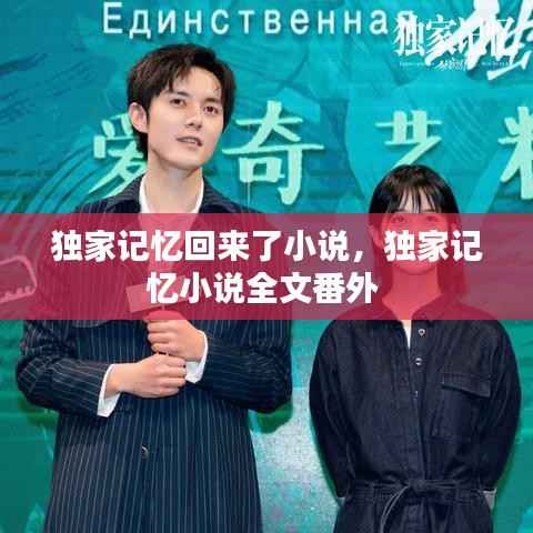 独家记忆回来了小说,独家记忆小说全文番外