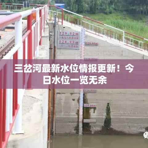 三岔河最新水位情报更新!今日水位一览无余