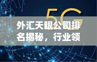 外汇天眼公司排名揭秘,行业领导者与先锋力量的崛起