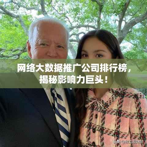 网络大数据推广公司排行榜,揭秘影响力巨头!