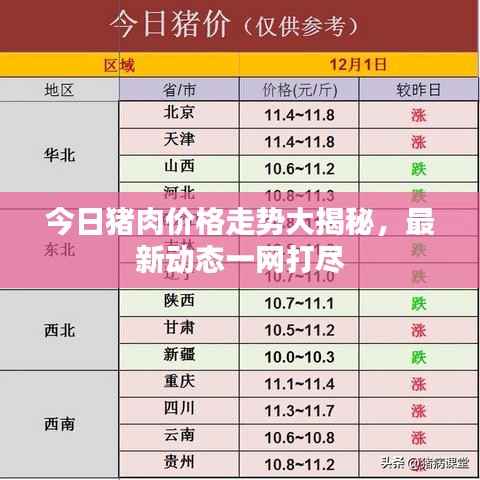 今日猪肉价格走势大揭秘，最新动态一网打尽