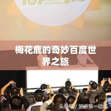 梅花鹿的奇妙百度世界之旅