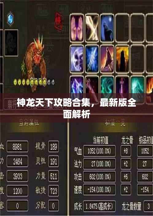 神龙天下攻略合集,最新版全面解析