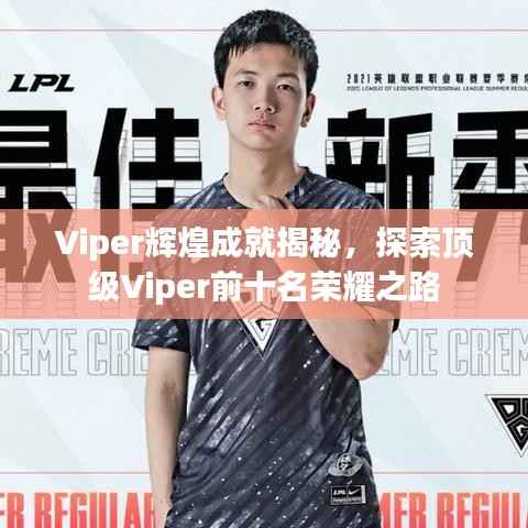 Viper辉煌成就揭秘,探索顶级Viper前十名荣耀之路